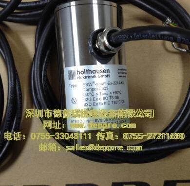 HOLTHAUSEN振動傳感器